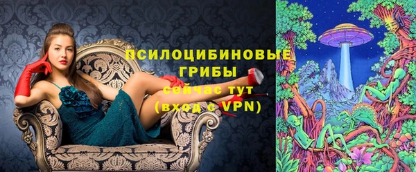 а пвп мука Вяземский