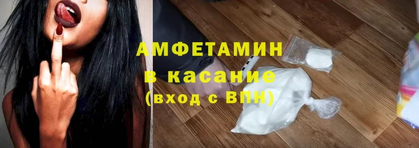 прущие грибы Вязьма
