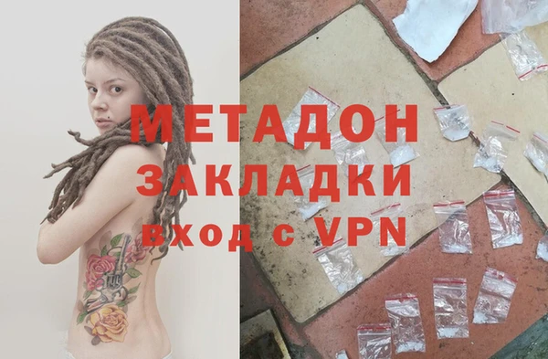 прущие грибы Вязьма