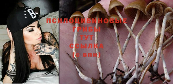 спиды Вязники