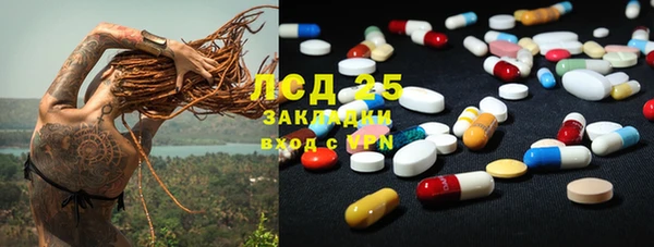 прущие грибы Вязьма