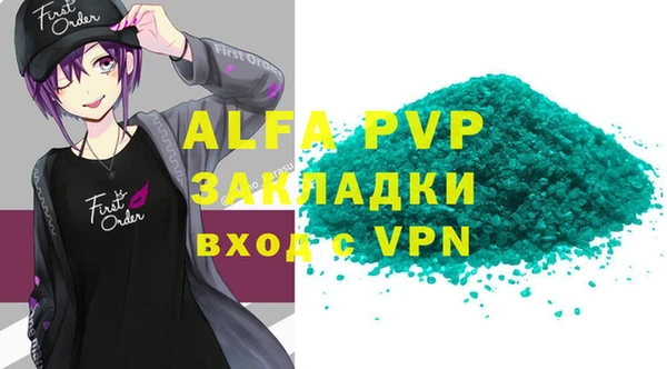 прущие грибы Вязьма