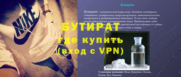 прущие грибы Вязьма